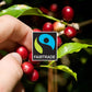 Caramello Caramel Flavored Espresso Pods